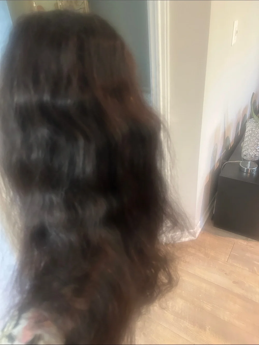 Long Natural Wave Human Hair Wig in Dark Brown